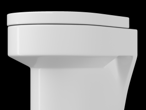 wall hung water closet toilet modeled in 3ds max 3D Модель