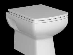 wall hung water closet toilet modeled in 3ds max 3D Model