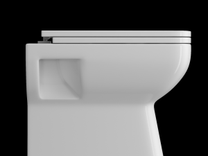 wall hung water closet toilet modeled in 3ds max Modelo 3D