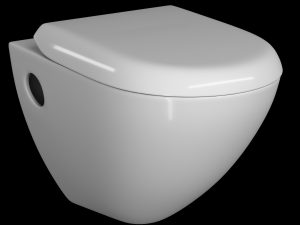 wall hung water closet toilet modeled in 3ds max 3D Model