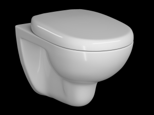 wall hung water closet toilet modeled in 3ds max 3D 모델