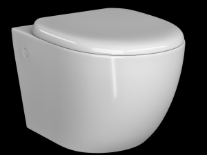 wall hung water closet toilet modeled in 3ds max 3D Model