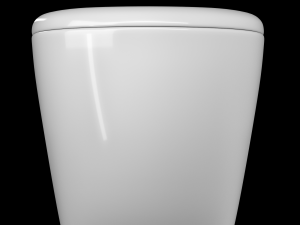 wall hung water closet toilet modeled in 3ds max 3D Модель