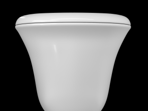 wall hung water closet toilet modeled in 3ds max 3D Модель