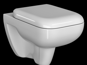wall hung water closet toilet modeled in 3ds max 3D Model