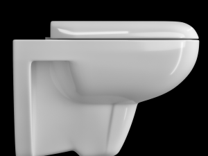 wall hung water closet toilet modeled in 3ds max Model 3D