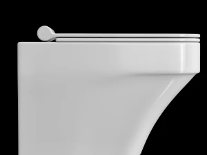 wall hung water closet toilet modeled in 3ds max 3D Model