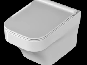 wall hung water closet toilet modeled in 3ds max 3D Model