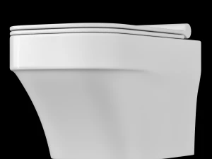 wall hung water closet toilet modeled in 3ds max 3D Model