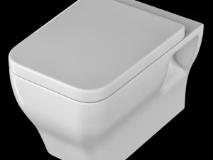 wall hung water closet toilet modeled in 3ds max 3D Model