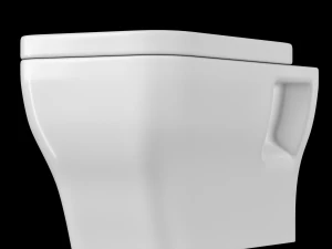 wall hung water closet toilet modeled in 3ds max 3D Model