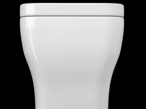 wall hung water closet toilet modeled in 3ds max 3D Model