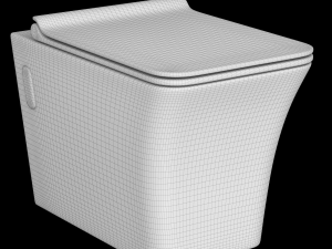 wall hung water closet toilet modeled in 3ds max 3D Модель