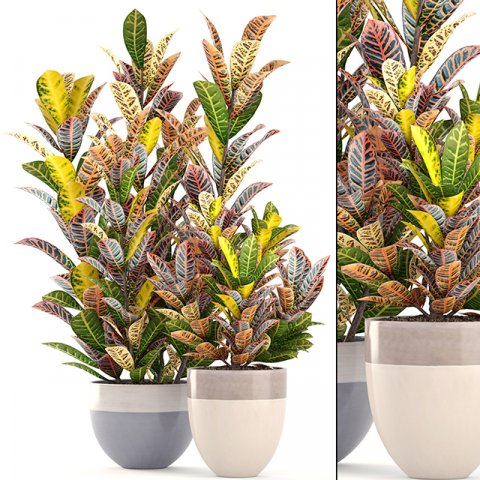 collection of plants 204 3D मॉडल .c4d .max .obj .3ds .fbx .stl .blend 
