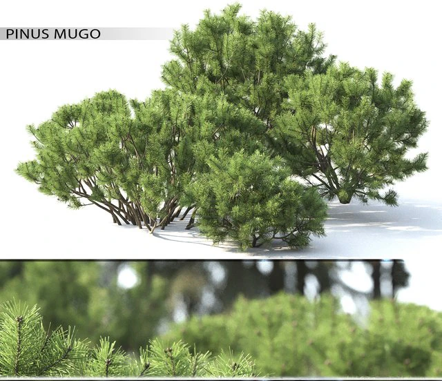 pine mountain number 2 3D Model .c4d .max .obj .3ds .fbx .stl .blend 