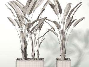 palm Modelo 3D