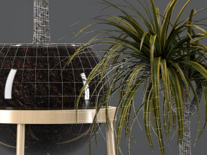 dracaena in a glass pot 3D Model