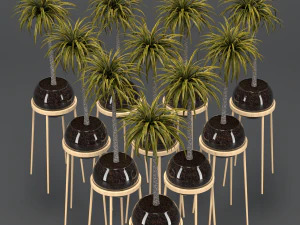 dracaena in a glass pot 3D Model