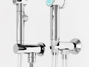 hygienic shower collection 3D Model