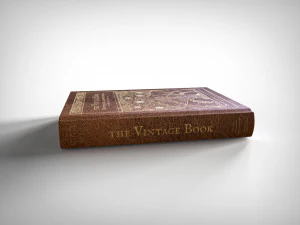 livro antigo Modelo 3D