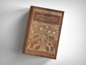 livro antigo Modelo 3D