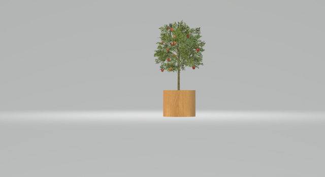 apple tree 3Dモデル .c4d .max .obj .3ds .fbx .stl .blend 