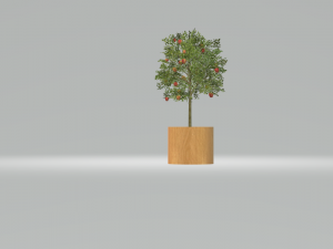 apple tree Modelo 3D