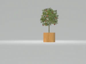 appelboom 3D Model