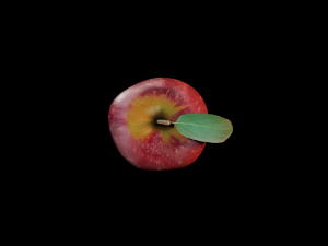 apple 3D-Modell