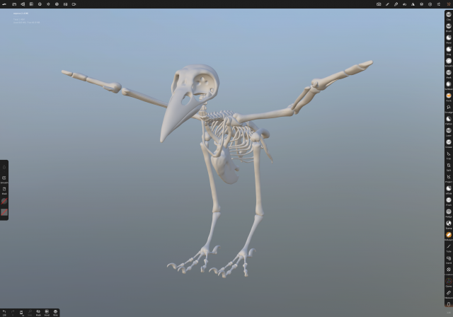 crow Modelo 3D .c4d .max .obj .3ds .fbx .stl .blend 