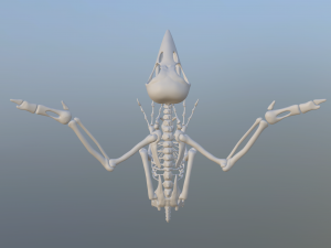 crow Modelo 3D