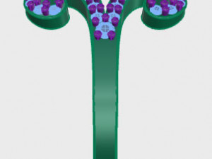ring rose flower with stones 08 Model 3D