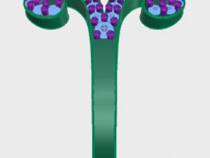 ring rose flower with stones 08 3D Model
