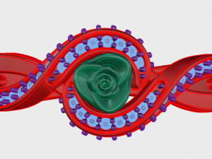 ring rose flower with stones 16 3D मॉडल