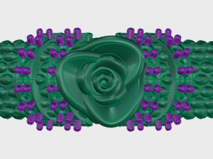 ring rose flower with stones 25 3D Model