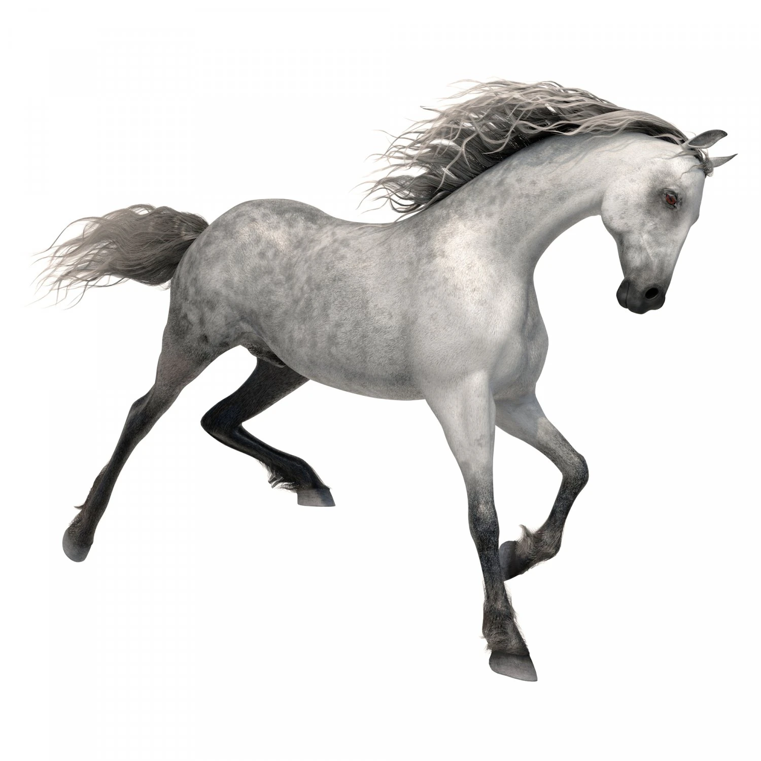 horse 3D Model .c4d .max .obj .3ds .fbx .stl .blend 