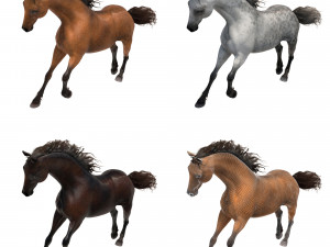 horse 3D मॉडल