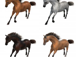 horse 3D Model