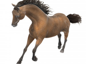 horse 3D मॉडल