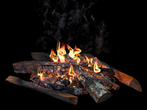 fire Modelo 3D