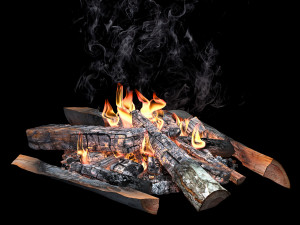fire Modelo 3D