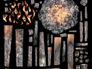 fire Modelo 3D