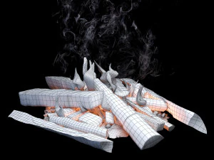 fire 3D Model