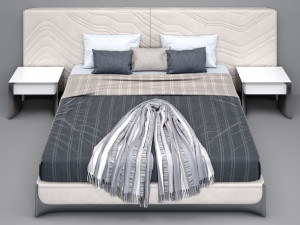cafoscaribed Model 3D