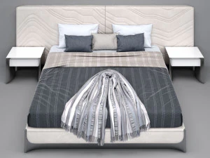 cafoscaribed 3D Model