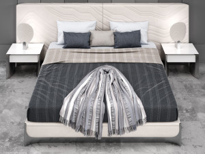 cafoscaribed Model 3D