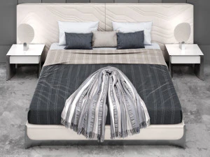 cafoscaribed 3D Model
