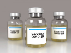 vaccine covid-19 3D Model