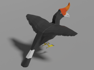 low poly hornbill Model 3D