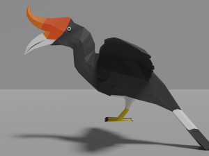 low poly hornbill Model 3D